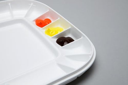 Mijello Acrylic Oil Color Palette Artelier Airtight 330x230x30 MAP-3025