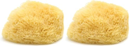 Neptune Caribbean Sea Sponge for Face & Body, XXL Approx. 8-9 Inches, Ultra-Soft Bath Sponge, Eco-Friendly & Biodegradable (Pack of 2) - size: 1 Count (Pack of 2)