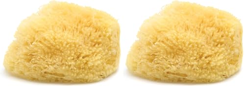 Neptune Caribbean Sea Sponge for Face & Body, XXL Approx. 8-9 Inches, Ultra-Soft Bath Sponge, Eco-Friendly & Biodegradable (Pack of 2) - size: 1 Count (Pack of 2)