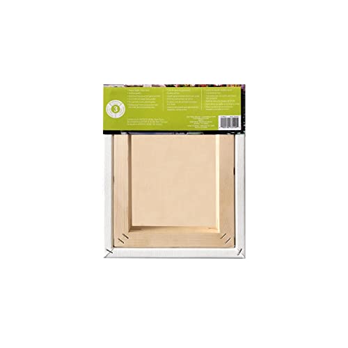 Artist's Loft Level 3 Gallery Wrapped Heavy Duty Canvas - size: 8 x 10