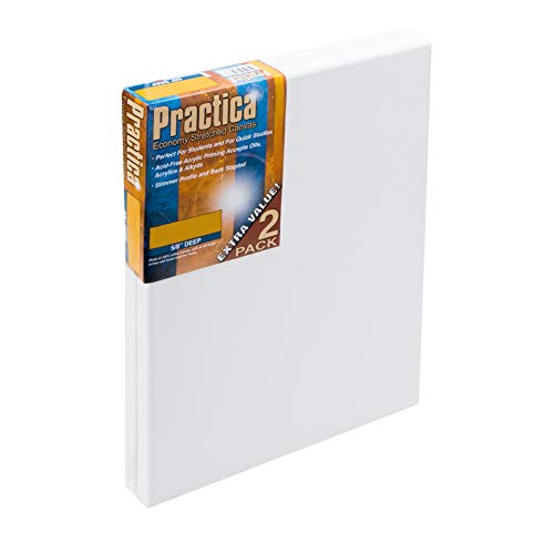 Practica Economy Pre Stretched Canvas Cotton Artist Acid Free Primed Painting Canvas 5/8" Deep [2-Pack]- 4x6 - size: 4x6