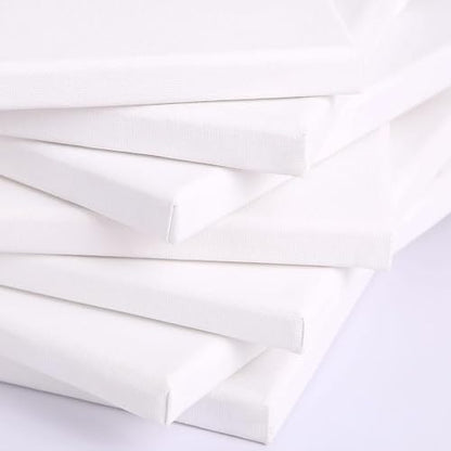 Canvases for Painting, 40x30, 30x20,20x15, 8 Set Canvas with Palette & Tape