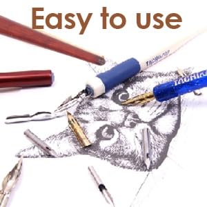 10 Pcs Dip Pen Set Nib Pen Holder Comic Dip Wooden Pen Nib Holder for Art Painting English Calligraphy (Annatto Color) - color: Annatto Color