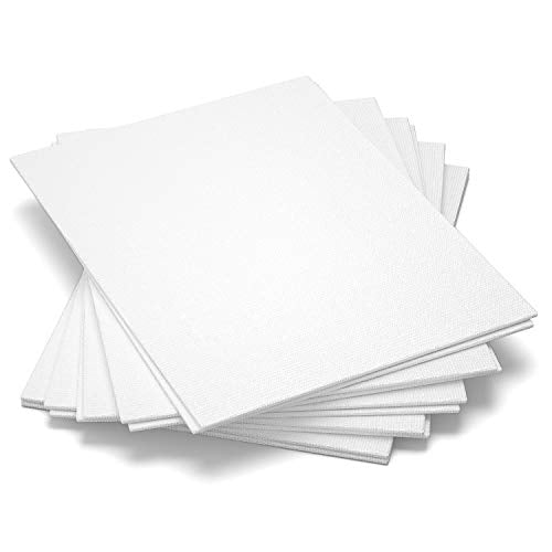 GOTIDEAL Bulk Canvases for Painting, 11x14 inch Value Pack of 40 with Acrylic Paint Set with 10 Brushes, 18 Colors(59ml, 2 oz)