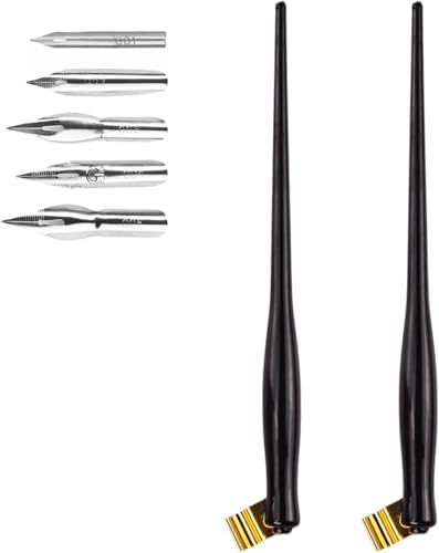 Flylin 2PCS Oblique Calligraphy Pen, 2-in-1 Drawing Pen Holder | Calligraphy writing tool, Dual use paint sketch pen, Removable Multi-Fit Brass Flange, 6.5 Inch Plastic Dip Pen Holder