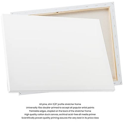 Stretched Canvas Packs - Multipack Low Cost Stretched Canvas for Artists, Painting, Professionals, & More! - [50 Pack - 10x20] - size: 10x20" - 50 Pack