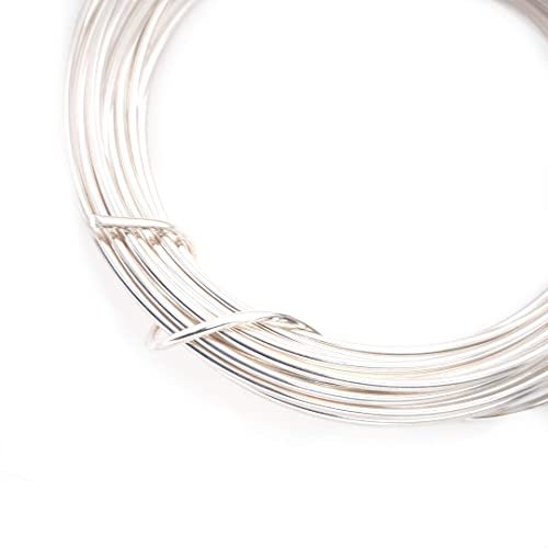 CRAFT WIRE 16 Gauge, 925 Sterling Silver Wire (Round) Dead Soft Made in USA - 10FT | Sterling Silver Wire for Jewelry Making, Wire Wrapping, Solid 925 Sterling Silver, High Quality Made in USA - size: 16 Gauge, style: 10 Feet