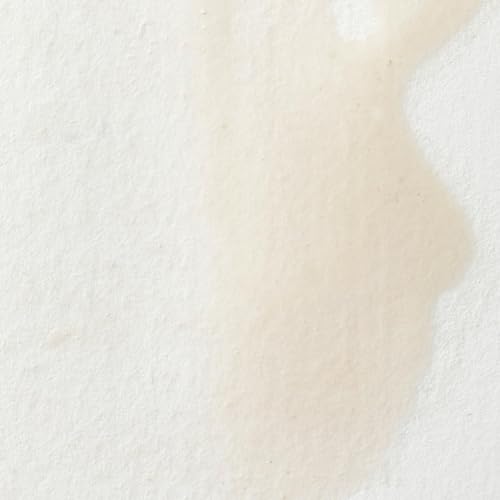 Winsor & Newton Professional Watercolor, 5ml Tube, Chinese White | Unrivalled Transparency, Single Pigment Vibrant Colors, Archival Permanence, Heritage Watercolors, Finest Pigments - color: Chinese White, style: 0.17-oz Tube