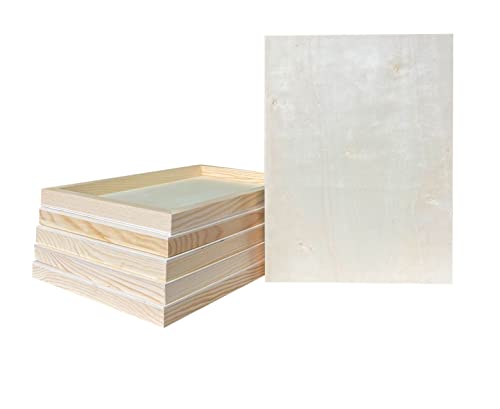 9x12 Wood Canvas for Crafts, 6-Pack Framed Wooden Panel Boards for Painting Pouring Crafts