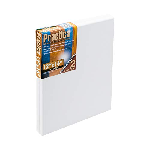 Practica Economy Stretched Cotton Canvas - Acid-Free Acrylic Primed Canvas for Acrylics, Pastels, Graphite, & More! - [2-Pack - 12x16] - size: 12x16"