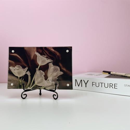 HENABLE 4PCS Premium Black Iron Plate Stands for Display 4 Inch, Decorative Solid Metal Plate Holders for Displaying, Mini Easel, Frame, Book, Card, Plaque, Bowl, Picture Stands for Display - size: 4PCS 4IN