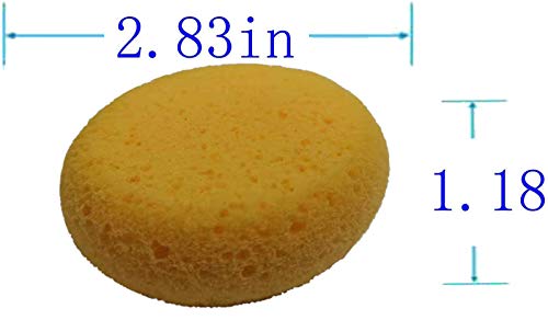 A Box of 12 Tack Sponges (Middle Hole) - color: 12 Middle Hole, size: Medium