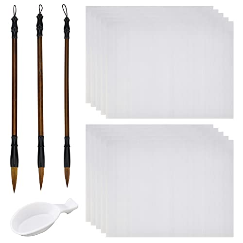 PH PandaHall 14pcs No Ink Chinese Calligraphy Set, Reusable Water Writing Cloth Paper, Chinese Traditional Calligraphy Brushes and Water Dish for Beginners Practice Chinese New Year, 17x13 Inch - color: White