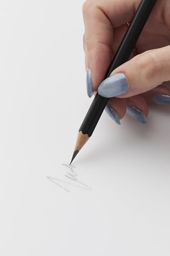 Blackwing Matte Pencils, Soft Graphite for Writing & Drawing, 12 Count - color: Black, style: Modern
