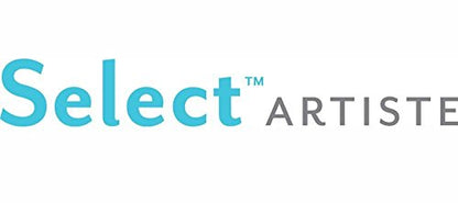 Princeton Select Artiste Brush Set No. 10, Synthetic, 5 Piece, 1 Count - style: SET 10- 5 BRUSH SET