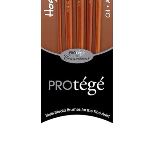 Protege Brush Set Hog Bristle Long Handle 5pc