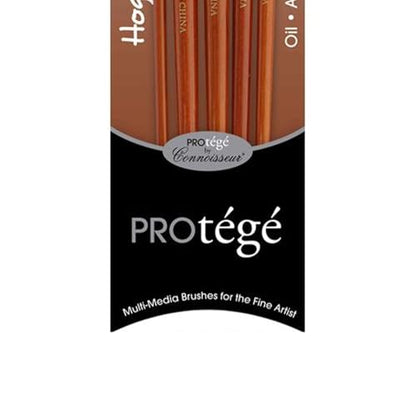 Protege Brush Set Hog Bristle Long Handle 5pc