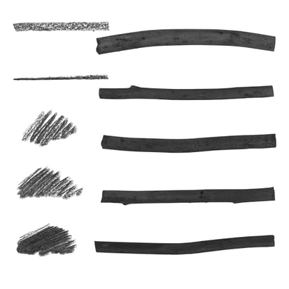 Pacific Arc 2 Pack Large Vine Charcoal Stick 5/Pkg, Soft, Black, Thick Willow Charcoal for Sketching and Drawing - style: Large | 2 Pack | 5 Sticks