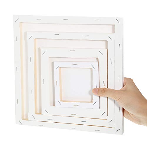 12 Pieces Assorted Size Mini Art Canvas Stretched for Craft Painting Drawing (4 Inches/ 6 Inches/ 8 Inches/ 10 Inches) - size: 4 Inches, 6 Inches, 8 Inches, 10 Inches