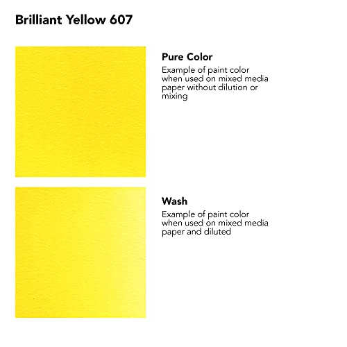 Daler-Rowney FW Acrylic Ink Bottle Brilliant Yellow - Versatile Acrylic Drawing Ink for Artists and Students - Permanent Calligraphy Ink - Archival Ink for Illustrating and More - color: Brilliant Yellow