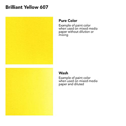 Daler-Rowney FW Acrylic Ink Bottle Brilliant Yellow - Versatile Acrylic Drawing Ink for Artists and Students - Permanent Calligraphy Ink - Archival Ink for Illustrating and More - color: Brilliant Yellow