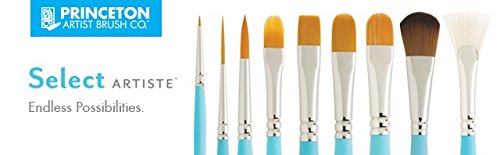 Princeton 10011482 3750TS-10/0 Select Artiste Spot Detailer Angle Paint brush, Synthetic - color: Multicolor, size: Spot Detailer Angle 10/0