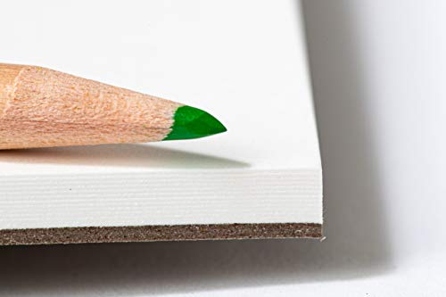 Leda Art Supply Hot Pressed Watercolor Pad Jumbo 2 Pack (24 Sheets) 300 Gram - 140 Pound 25% Cotton fine Italian Art Paper with Smooth Surface for Professional renderings (A3 Size 11.5 x 16.5 inches) - size: 11.5 x 16.5 inches
