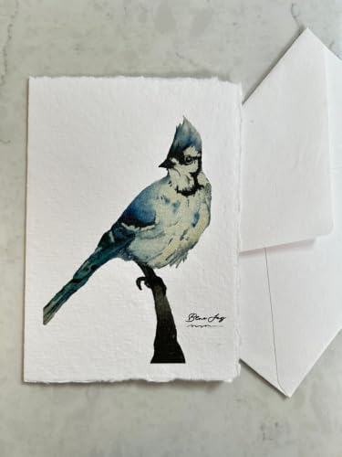 WANDERINGS Handmade Deckle Edge Blank Greeting Cards & Envelopes with Bird Art - 300 GSM Paper– 20 Cards (5 Each of 4 Varieties) for Invitations, Thank Yous, Get Well and Birthday Cards –5" x 7" - color: Bird Art