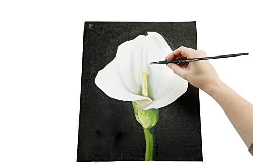 Senso Clear Primed Linen Stretched Canvas - Multi-Media Stretched Canvas for Oils, Acrylics, Pastels, & More! - 11x14 - size: 11"x14"