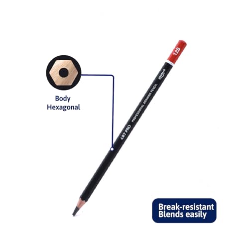 Pointer Art Pro Drawing Pencils Set, 12 Graphite Pencils 6H-12B, Professional Artist Sketching Kit