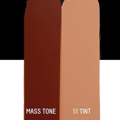 Liquitex BASICS Acrylic Paint, 13.5-oz Bottle, Burnt Sienna | Medium Viscosity, Satin Finish, Lightfast, Fine Art Pigments, Range of Opacities, Easy Blending - color: Burnt Sienna, size: 13.5 Fl Oz (Pack of 1)