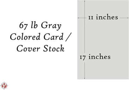 Vellum Bristol Cover 67 Pound, Smooth Finish, 250 Sheets Pack. – Premium Heavyweight Cardstock for Crafting, Printing, and Professional Projects, Acid-Free. (1, Grey, 11"x17") - color: Grey, size: 11"x17"