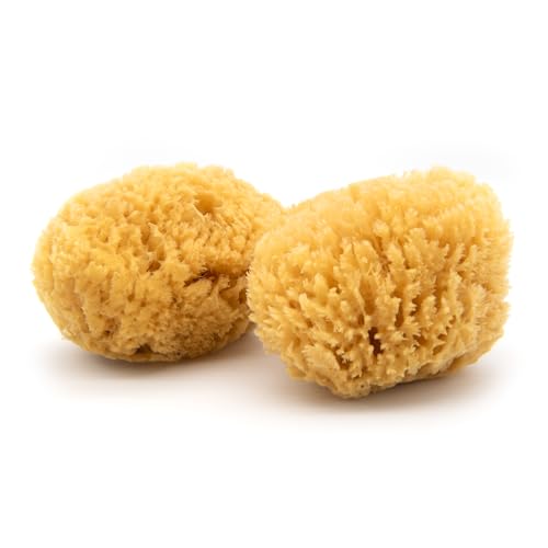 Neptune Caribbean Sea Sponge 2-Pack, Large, Approx. 7-8 in, Exfoliating | Hand cut so size and shape vary slightly. Eco-friendly, biodegradable, ultra-soft for face and body
