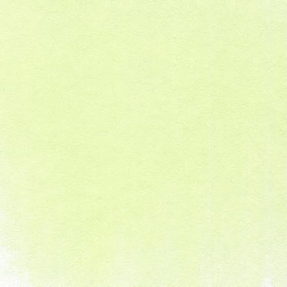PanPastel Artist Pastels by GOLDEN, Hansa Yellow Tint, 2.44” / 62mm Pan Diameter, Professional Artist Pastels, Unique Pan Format (cake-like) - color: Hansa Yellow Tint, size: 1 Count (Pack of 1)