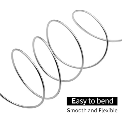Bonsai Training Aluminum Wire, 1.0mm 18 Gauge Silvery 200g, Bendable Anodized Craft Wire, Flexible Armature Wire for Bonsai Tree Shaping, DIY Handcraft and Model Making(Silvery-1.0) - color: Silver, size: 18 Gauge