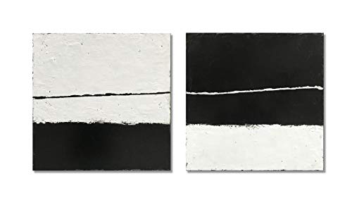 NANKAI Art Contemporary Minimalist style art oil painting Abstract art piece Decorative artwork for home or office wall 20x20 inches - 2 pieces - color: NKHB053
