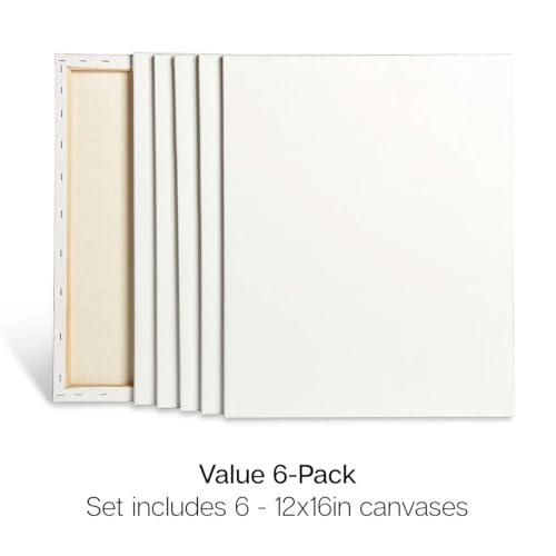 KINGART 805-6 Stretched White Canvas for Painting, 12 x 16 Inch, Pack of 6 | 100% Cotton, Triple Primed Acid-Free Gesso, Ready to Paint, 5/8" Profile, Back-Stapled - size: 12 x 16 Inch