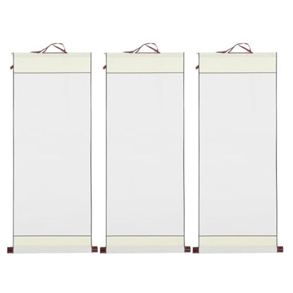 EXCEART Chinese Calligraphy Scroll 3pcs Blank Rice Paper Scrolls Painting Supply for Calligraphy Drawing Handmade White Four Feet Scrolls - color: White