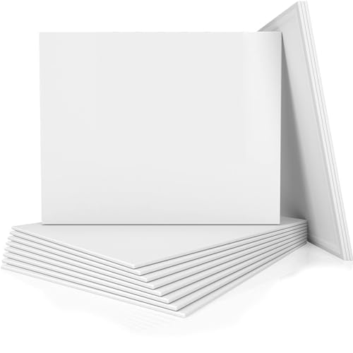 AETEXA Canvases for Painting 8x10 Inch, Canvas Bulk Pack of 12, 8 oz Primed Canvas Panel, Blank Canvas for Painting, Canvas Boards for Painting Acrylic and Oil, Art Supplies for Adults and Teens.