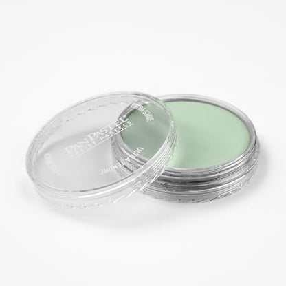PanPastel Artist Pastels by GOLDEN, Chromium Oxide Green Tint, 62 mm Pan - color: Chromium Oxide Green Tint, size: 1 Count (Pack of 1)