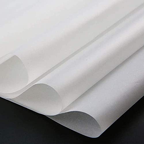 50 Sheets White Carbon Paper Graphite Paper Transfer Tracing Paper with 1 PCS Embossing Stylus Dotting Tools (8.3" x 11.6")