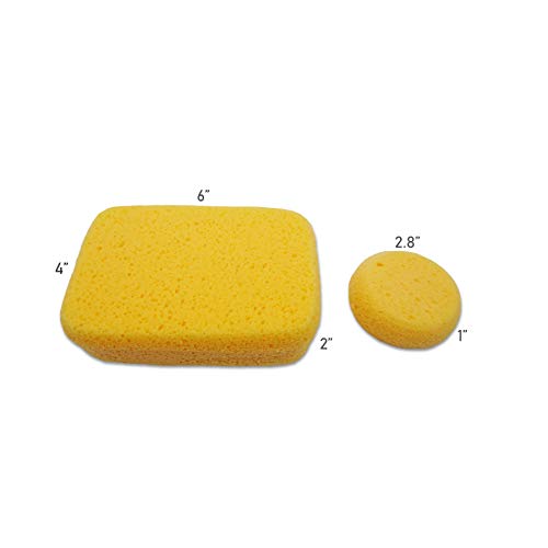 Hydrophilated Synthetic Sponges 6pc, Superior Absorbency, Painting & Crafts