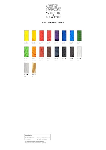 Winsor & Newton Calligraphy Ink, 30ml (1-oz) Bottle, Black (Pack of 2) - color: Black, size: 1 fl oz (Pack of 2)