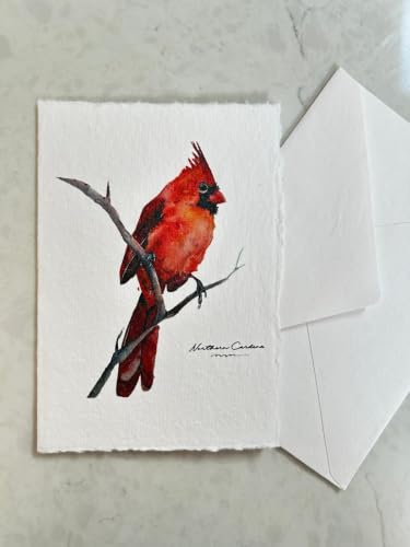 WANDERINGS Handmade Deckle Edge Blank Greeting Cards & Envelopes with Bird Art - 300 GSM Paper– 20 Cards (5 Each of 4 Varieties) for Invitations, Thank Yous, Get Well and Birthday Cards –5" x 7" - color: Bird Art