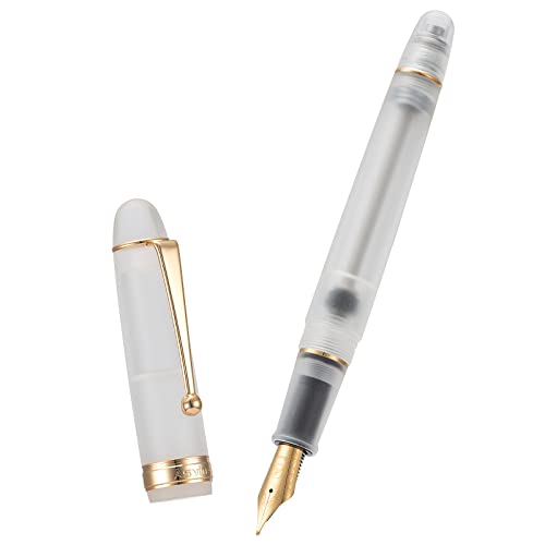 Asvine V126 Vacuum Filling Fountain Pen Medium Nib, Frosted Transparent Clear Acrylic, Large-Capacity with Gift Case - color: Frosted clear, style: Medium Nib