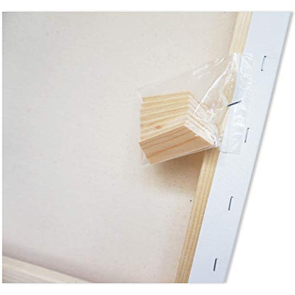 Stretched Canvas 16" X 18" Pack of 2 - size: 16"x18"x2