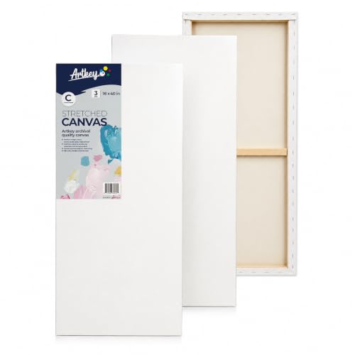 Large Canvas for Painting 16x40 Inch 3-Pack, 12.3 oz Triple Primed 100% Cotton Stretched Canvas, Blank Large Canvases for Oil Paint Acrylics Pouring & Wet Art Media - size: 16"x40"(3-Pack), style: Studio