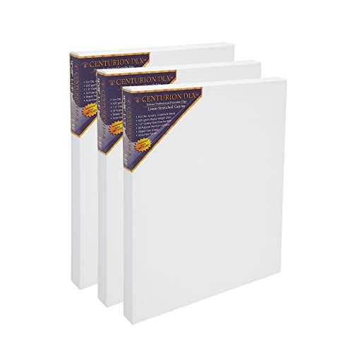 Centurion Deluxe Pre-Primed Linen Canvases, 1.5" Deep - 20"x30", 3 Pack | Professional Acrylic Primed Pre-Stretched Canvases, 11oz Linen - Kiln-Dried Stretchers, Back Stapled, Museum Archival Quality - size: 20"x30"