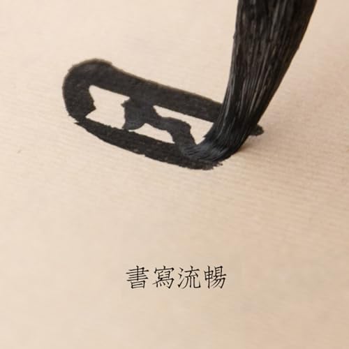 Calligraphy and Sumi Liquid Ink, Traditional Black Sumi Ink for Chinese Calligraphy, Painting and Japanese Brush Art, Light Glue (16.9 OZ/ 500ml) - color: Black 500ml