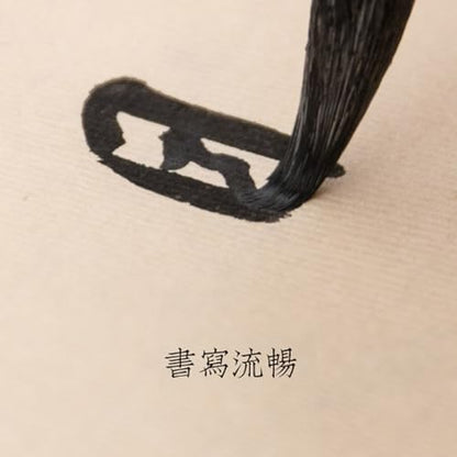 Calligraphy and Sumi Liquid Ink, Traditional Black Sumi Ink for Chinese Calligraphy, Painting and Japanese Brush Art, Light Glue (16.9 OZ/ 500ml) - color: Black 500ml